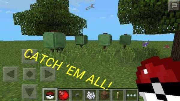 Perfect Pokémon Idea Minecraft screenshot 6