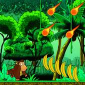 Temple Jungle Monkey Run 1.0