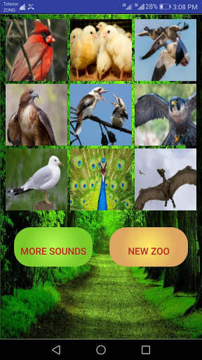 Bird Sound - Bird Call Identifier स्क्रीनशॉट 1