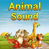 Animal Sound Ringtone 1.5