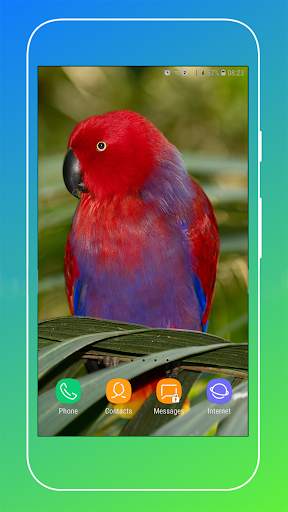 Parrot Wallpaper screenshot 3
