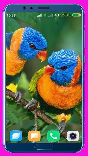 Parrot HD Wallpaper screenshot 8
