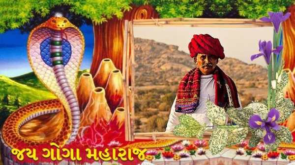 Goga Maharaj Photo Frame screenshot 3