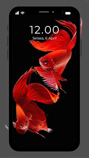 Wallpaper Ikan Koi Hidup screenshot 2