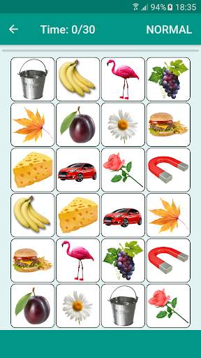 Brain game. Picture Match. screenshot 1
