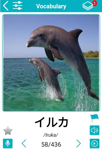 Japanese 5000 Words with Pictures скриншот 6
