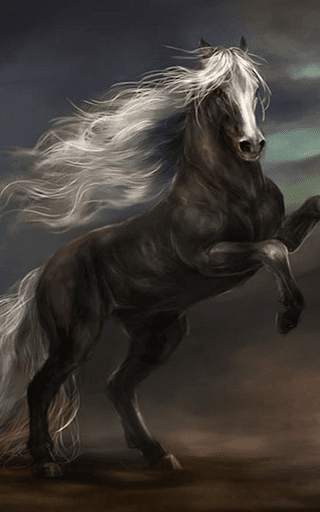 Horses Live Wallpaper HD screenshot 8