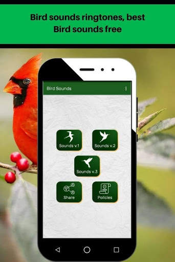 Bird sounds ringtones, best Bird sounds free screenshot 2