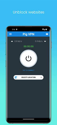 Pig VPN screenshot 3