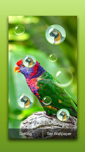 Bird Live Wallpaper screenshot 4