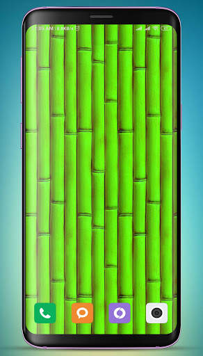 Bamboo Wallpaper HD screenshot 4