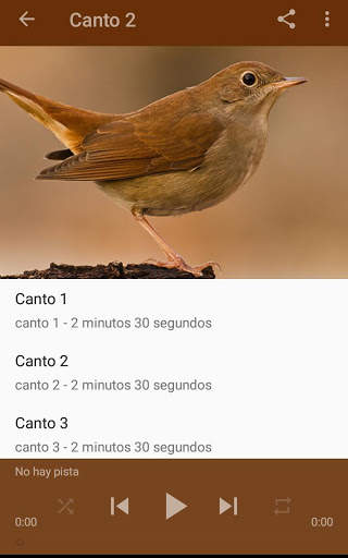 Nightingale Song screenshot 3