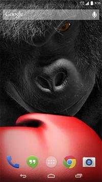 Monkey Boxing Live Wallpaper screenshot 1