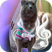 Animal sounds icon