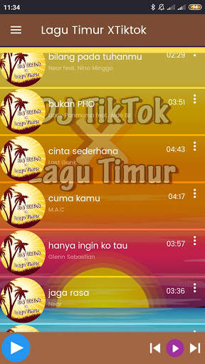 DJ TikTok x Lagu Timur Offline screenshot 4