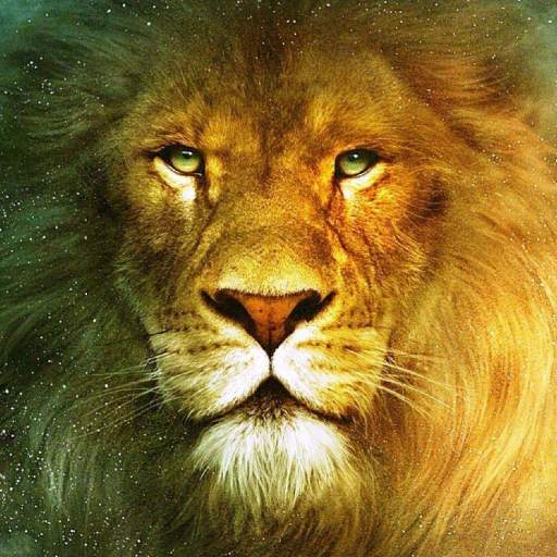 🦁 Lion Wallpaper : Wild King Backgrounds 1.1