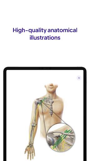 Daily Anatomy Flashcards स्क्रीनशॉट 10