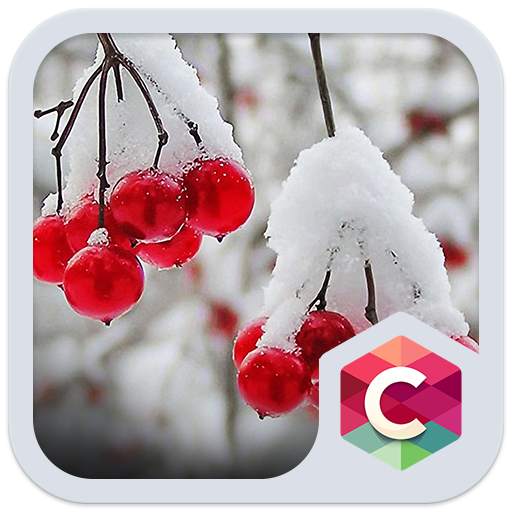 Snowy Cherry C launcher Theme 4.8.9