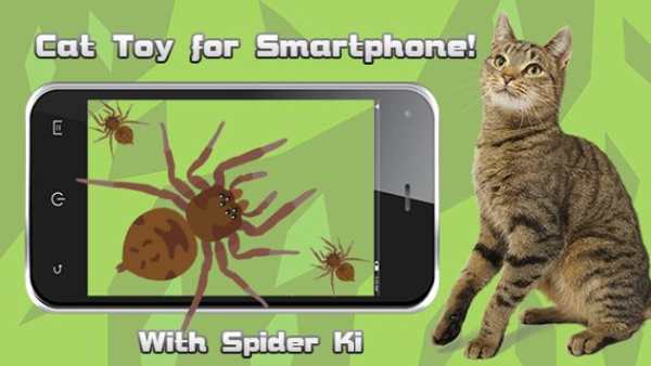 Cat Toys -SpiderHunt Cat Games screenshot 1