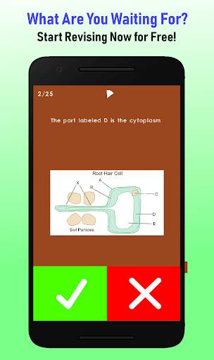 TorF: GCSE Science edition screenshot 5