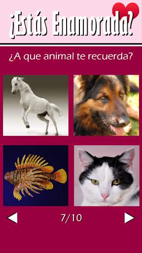 Test de amor en español screenshot 3