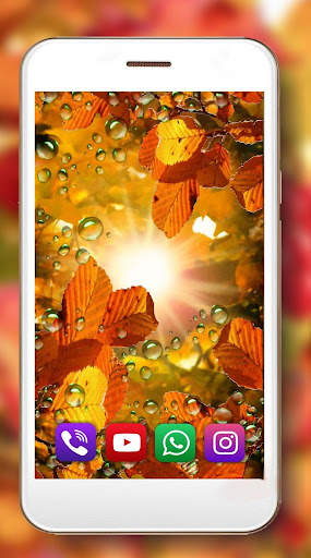 Autumn Sun Live Wallpaper screenshot 5