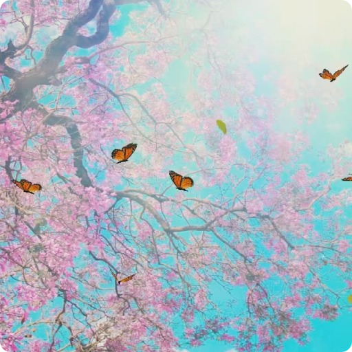 Butterfly Live Wallpaper HD 4 icon