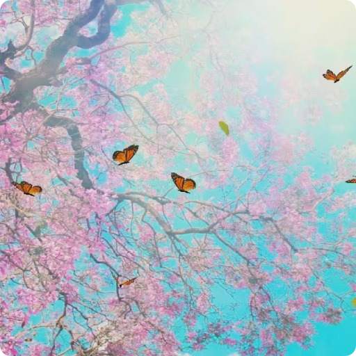 Butterfly Live Wallpaper HD 4 3.0