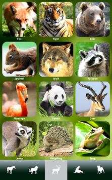 ZOOLA Animals - FREE screenshot 16