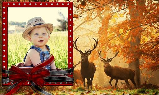 Jungle Photo Frames screenshot 7