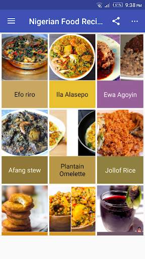 Nigerian Food Recipes screenshot 1