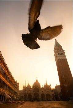 Assassins Creed NEW Wallpaper screenshot 1