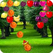 Bubble Fruits