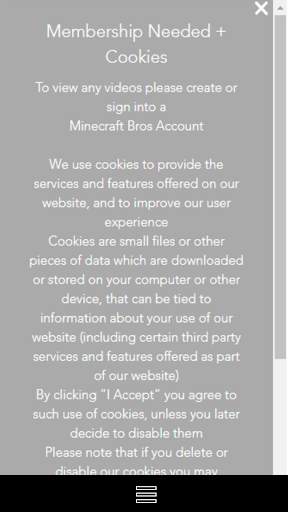 Minecraft Bros App screenshot 1