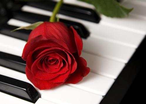 Smart Mobile Piano screenshot 1