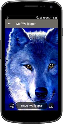 Wolf Wallpaper screenshot 3