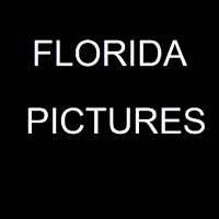 Florida Picture App icon