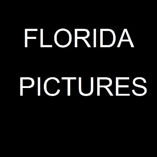 Florida Picture App 1.0