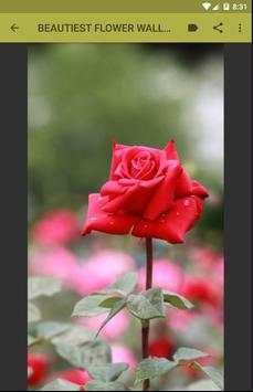 Beautifull Flower Wallpaper screenshot 4