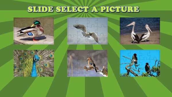 Birds Jigsaw Puzzles Game screenshot 2