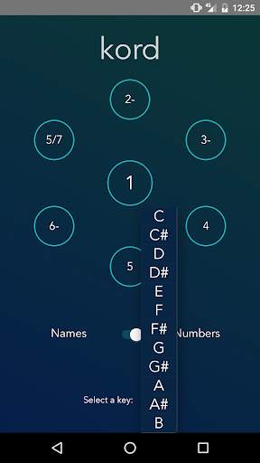 Kord Music screenshot 2