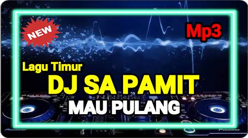 DJ Sa Pamit Mau Pulang TikTok Offline screenshot 1