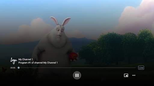 Ace Stream LiveTV screenshot 4