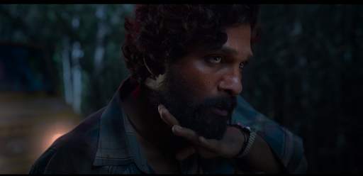 Daakko Daakko Meka |Pushpa screenshot 2