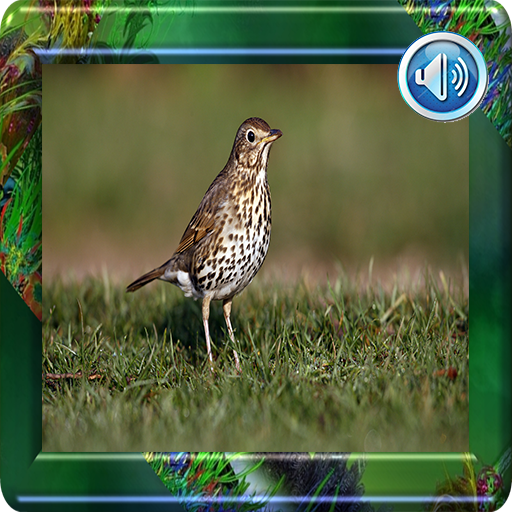 Thrush sound icon