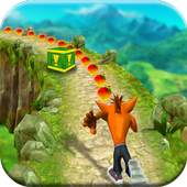 Temple Crash Jungle Run 1.0