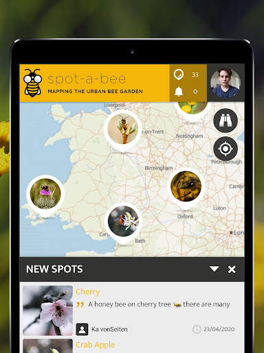 Spot-a-Bee  | SPOTTERON screenshot 8