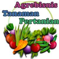Agribisnis Tanaman Sayuran dan praktek budidaya on 9Apps