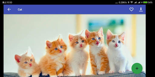 Animal Wallpaper screenshot 9
