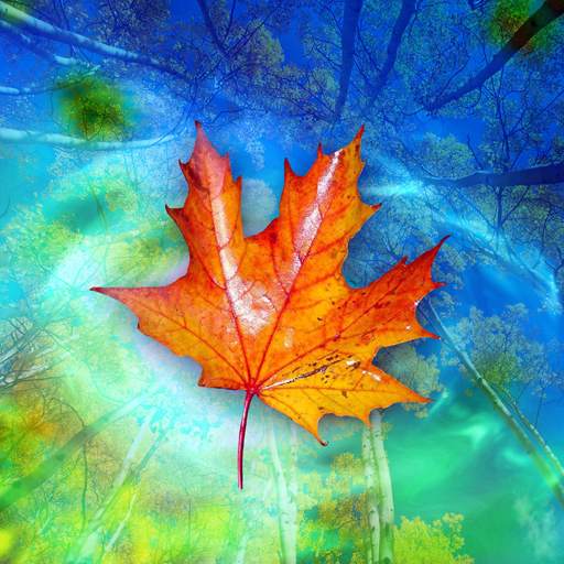 Autumn Leaves Live Wallpaper 1.0.6